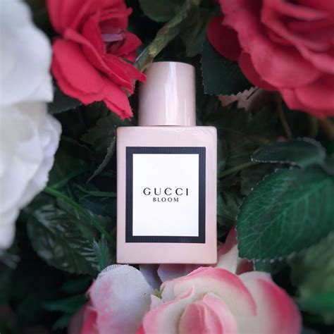 gucci bloom dp|gucci perfume 2017.